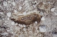 Kolbäck 191:1, A 114