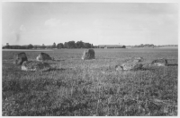 Vretstorp, stensättning på slätten