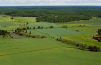 Husby-Långhundra 156:1