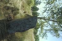 Image of Sö 194