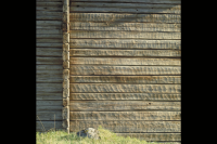 Gammelgården (Genbergska gården)