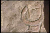 Image of Öl Köping3