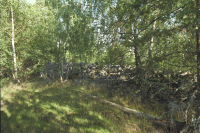 Fornborgen Stora Skansen