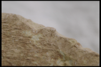 Image of Öl ATA4701/43