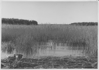 Norra Malma, Sjön Erken