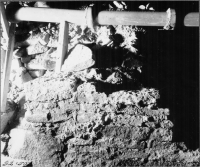 Skara domkyrka (Sankta Maria kyrka)