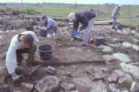 Image of Öl NOR2002;37