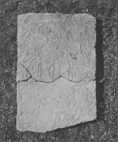 Vadstena Klosterkyrka