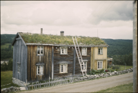 Gaula