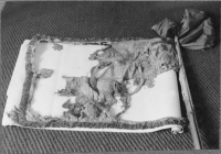 Image of DR EM85;549B