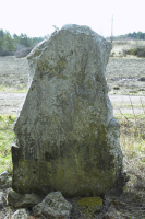 Image of Sö 24