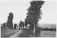 Saleby, väg uppför Ållebergs östra sluttning