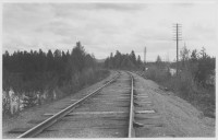 Järnvägsbanken vid Rörströmssjön