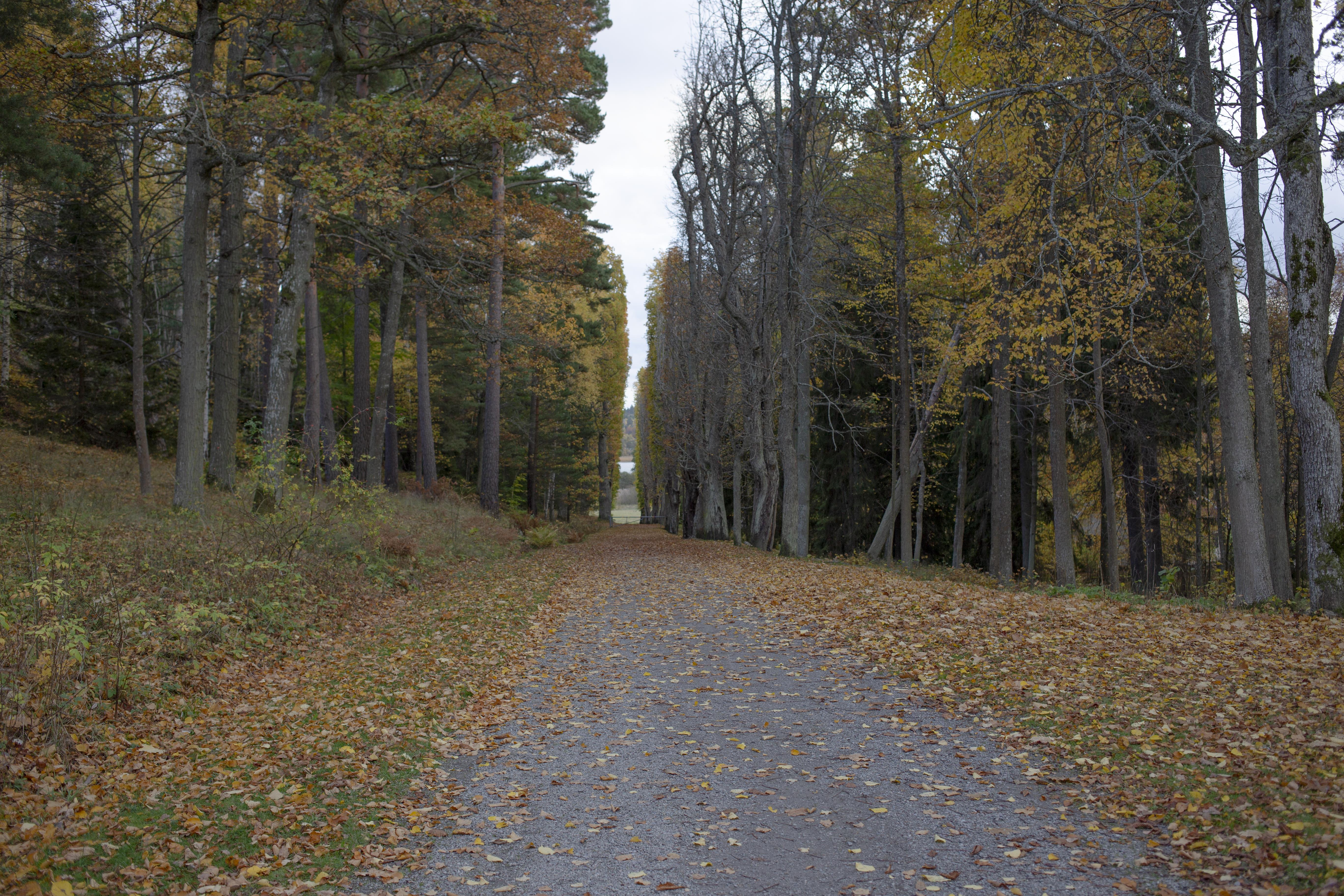 Leif Gren, Drottningholm