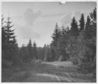 Gamla vägen mellan Hindalebyn och Dals-Ed Vägen skär igenom ett järnåldersgravfält