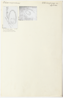 Björke. Runsignum Sö 41