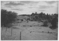 Gamla vägen Näs-Yllestad söder om Näs