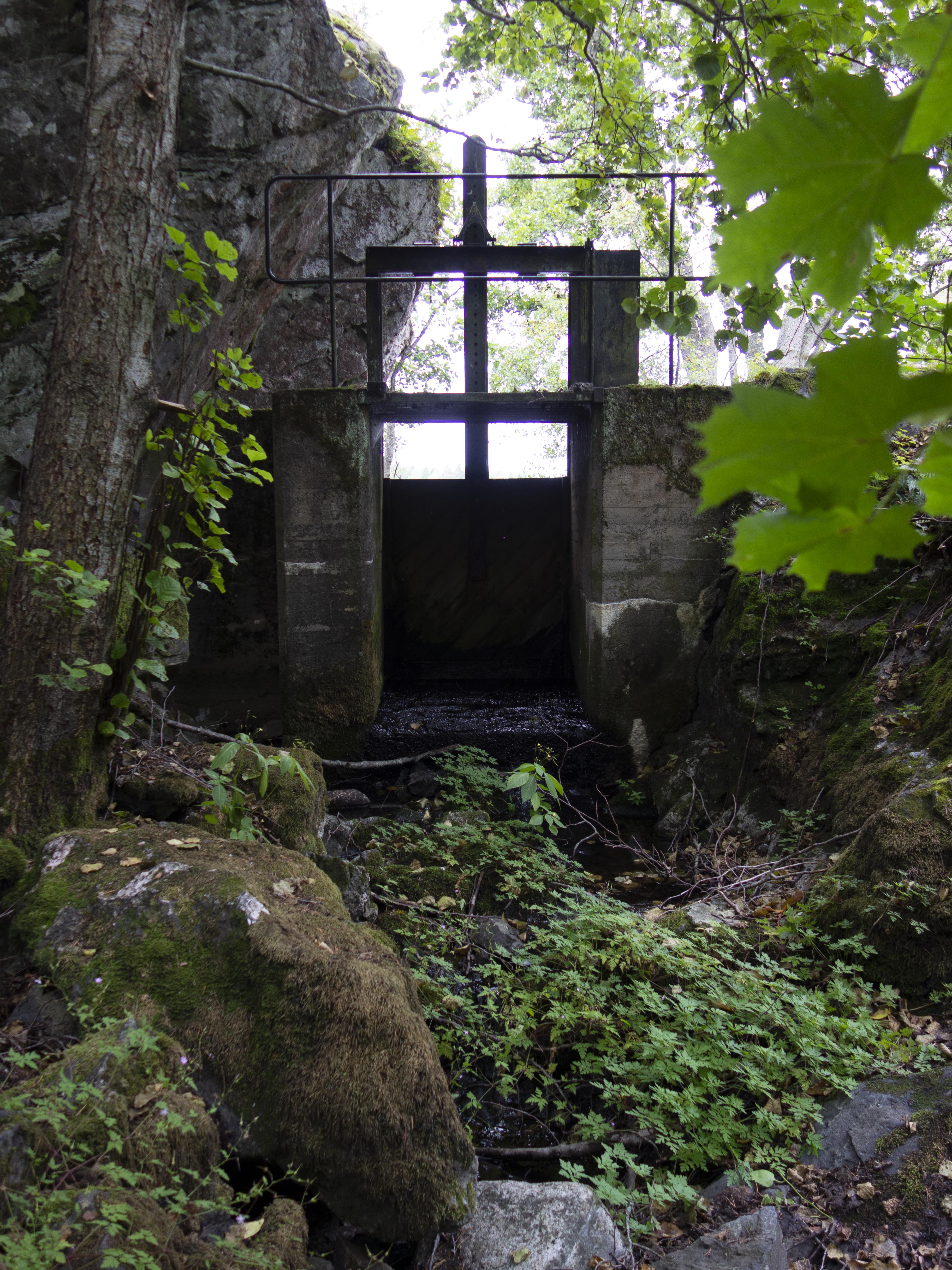 Leif Gren, Nyfors