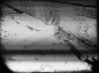 Varnhems klosterruin