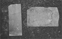 Vadstena Klosterkyrka