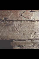 Image of Or Barnes20