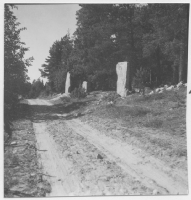 Tystberga socken, förmodligen resta runstenar vid sidan av en skogsväg
