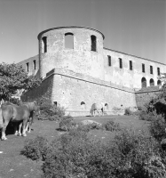 Borgholms slottsruin