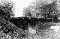 Image of Vg Fv2007;37