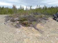 Fångstgrop L2020:3996