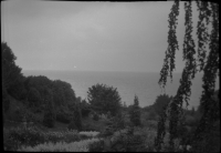 Norrvikens Trädgårdar