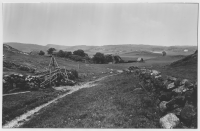 Image of Bo Peterson1992