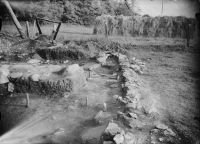 Varnhems klosterruin