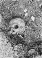 Nordingrå kyrkoruin