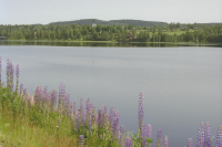 Image of Vr NOR1994;27