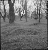 Stockholm, Johanneshovs kolerakyrkogård
