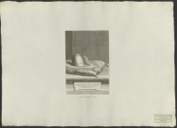 Den norske konungen Olof den heliges hjälm och sporrar, minnesmärken som fordom funnos i Trondheim men som sedan av den svenska konungen Erik XIV vid Trondheims erövring fördes därifrån och överlämnades till Storkyrkan i Stockholm, där de ännu finnas att