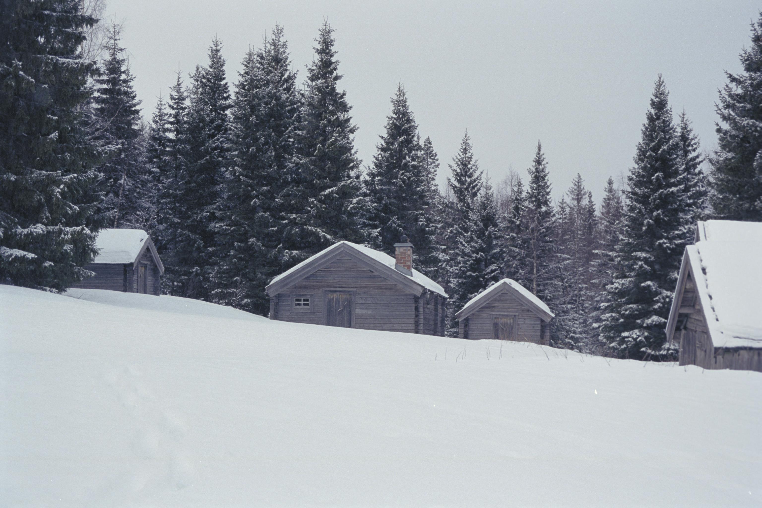 Bengt A Lundberg, Skuleskogens Nationalpark