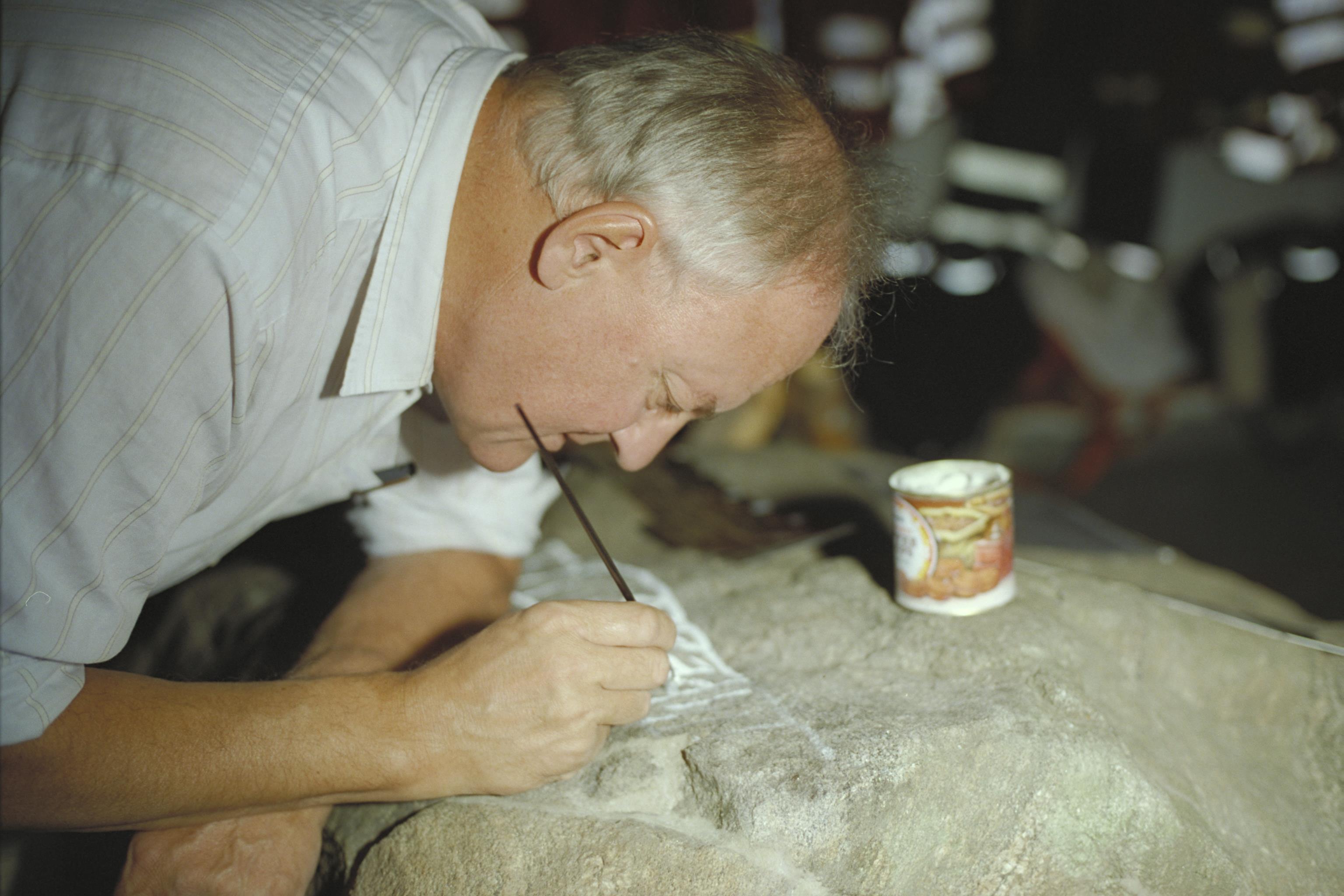 Bengt A Lundberg, VrNf1993 Gunnarskog