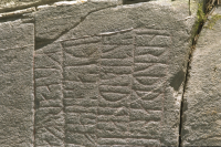 Image of Ög N288