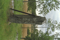 Image of Sö ATA6491/60