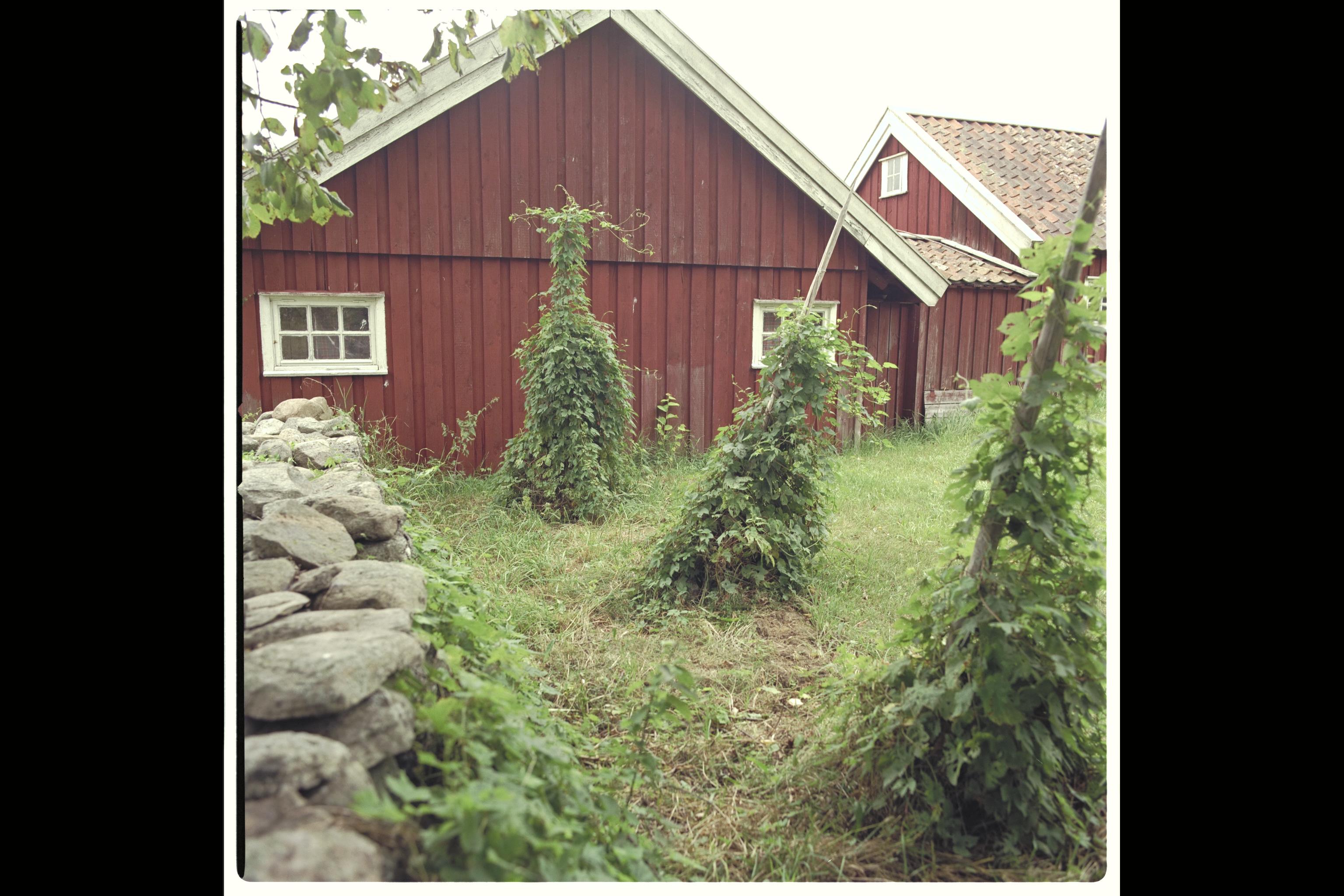 Bengt A Lundberg, Mårtagården