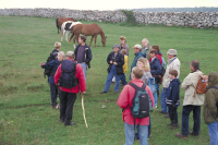 Vandringstur vid Ottenby