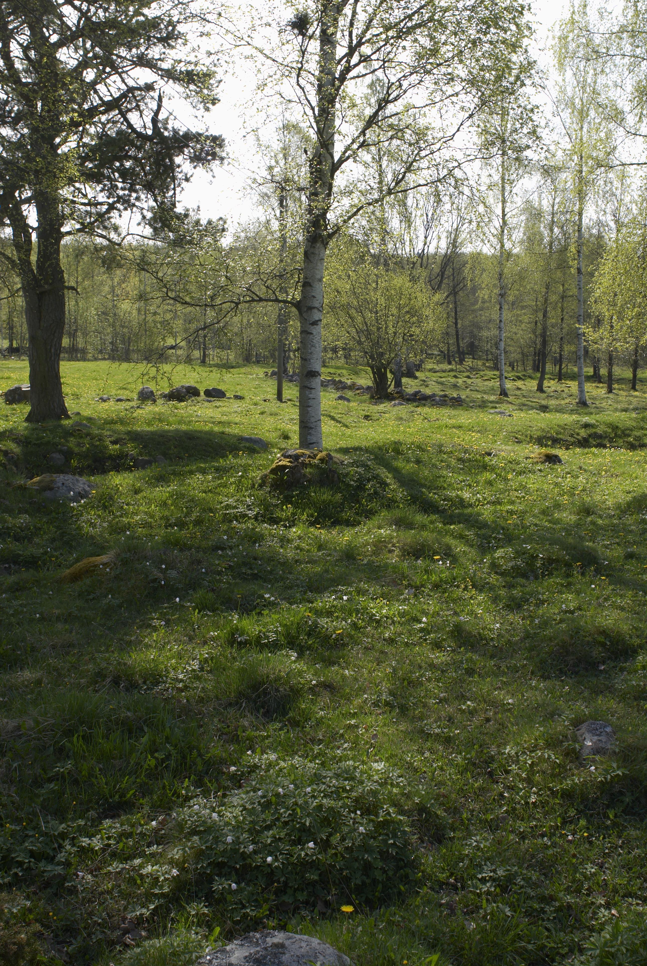 Bengt A Lundberg, Nordbillingen