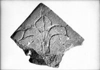 Image of DR EM85;432G