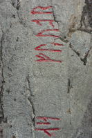 Image of Bo NIYR5;224