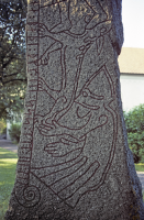Image of Ög 181