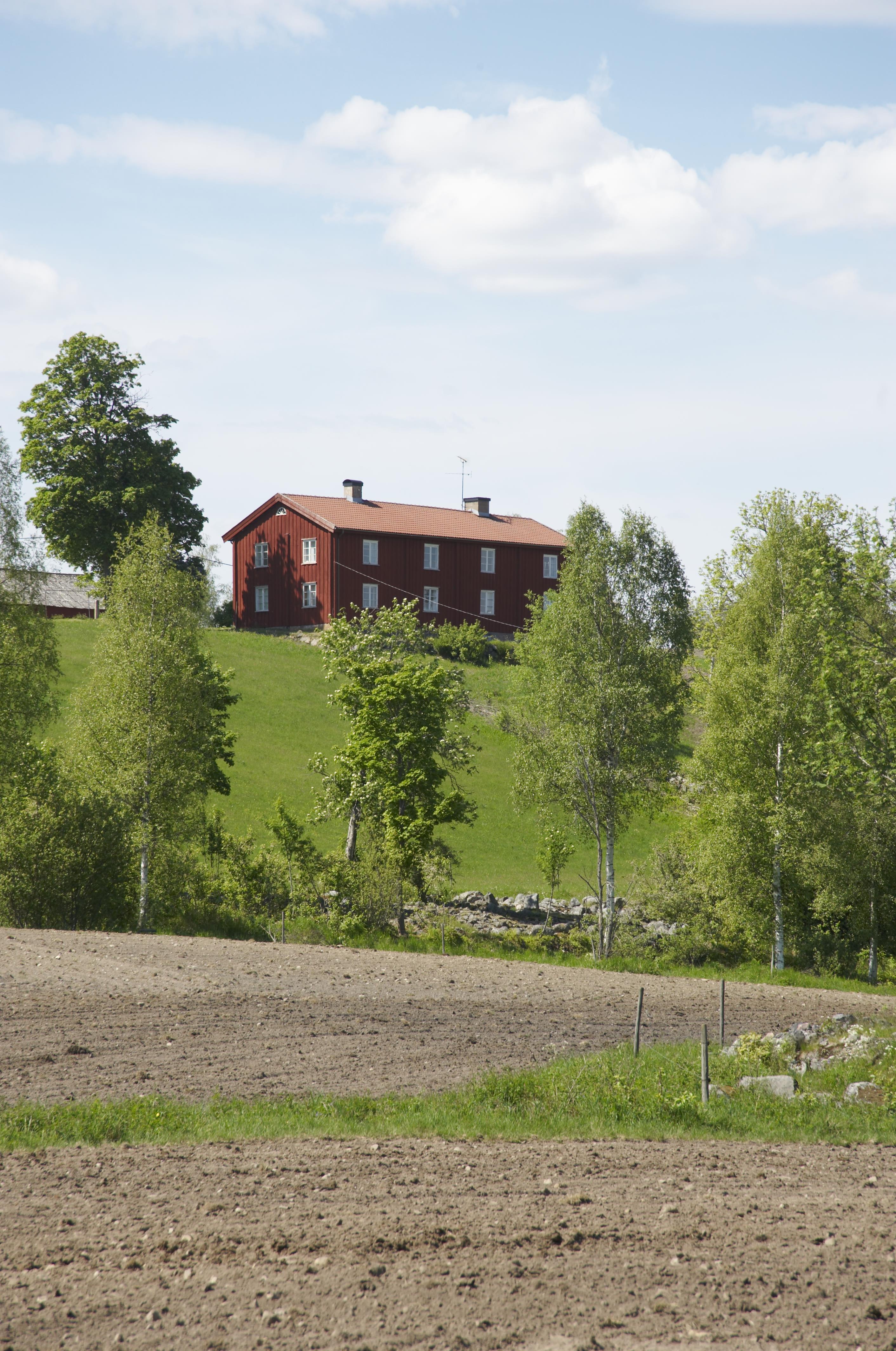 Bengt A Lundberg, Gåsborn