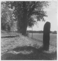 Trosa-Vagnhärads socken, möjligen en runsten