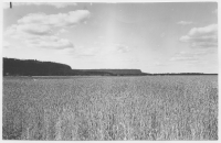 Hunneberg och Halleberg