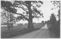 Vägen Lekaryd-Gåvetorp